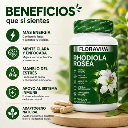 Floraviva Rhodiola Rosea | Energía, Enfoque y Apoyo frente al Estrés Diario
